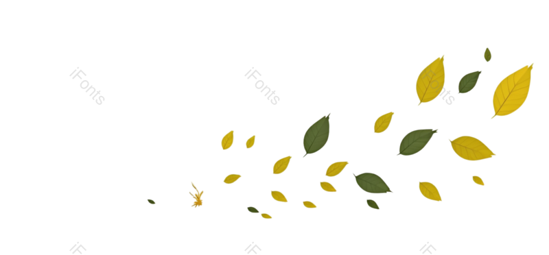叶子图片,秋天元素,设计元素PNG,漂浮元素免抠素材